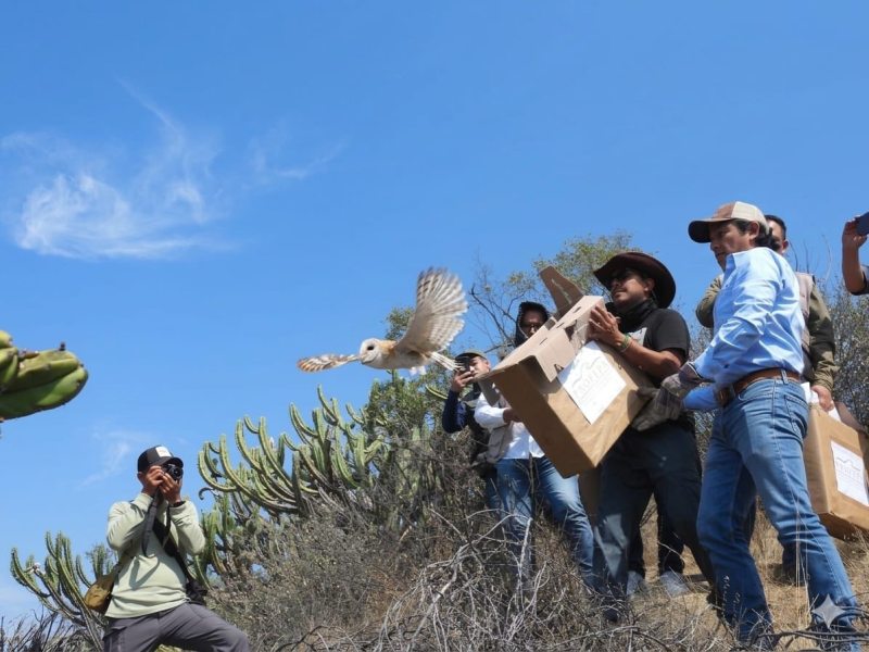 San Agustín Metzquititlán fortalece la conservación de la vida&nbsp;silvestre
